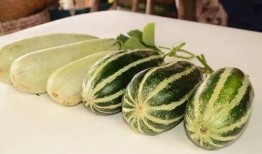 网红吃瓜打包图片大全,盘点那些搞笑又真实的打包图片大全